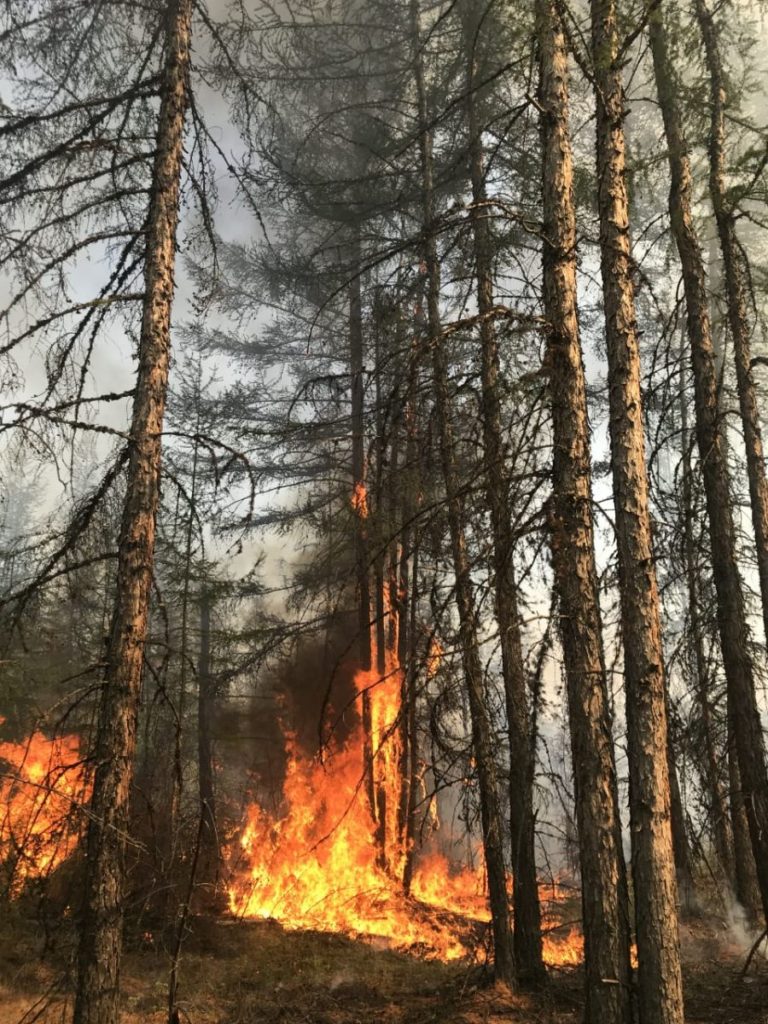 Пожароопасный сезон в Качугском районе открыт