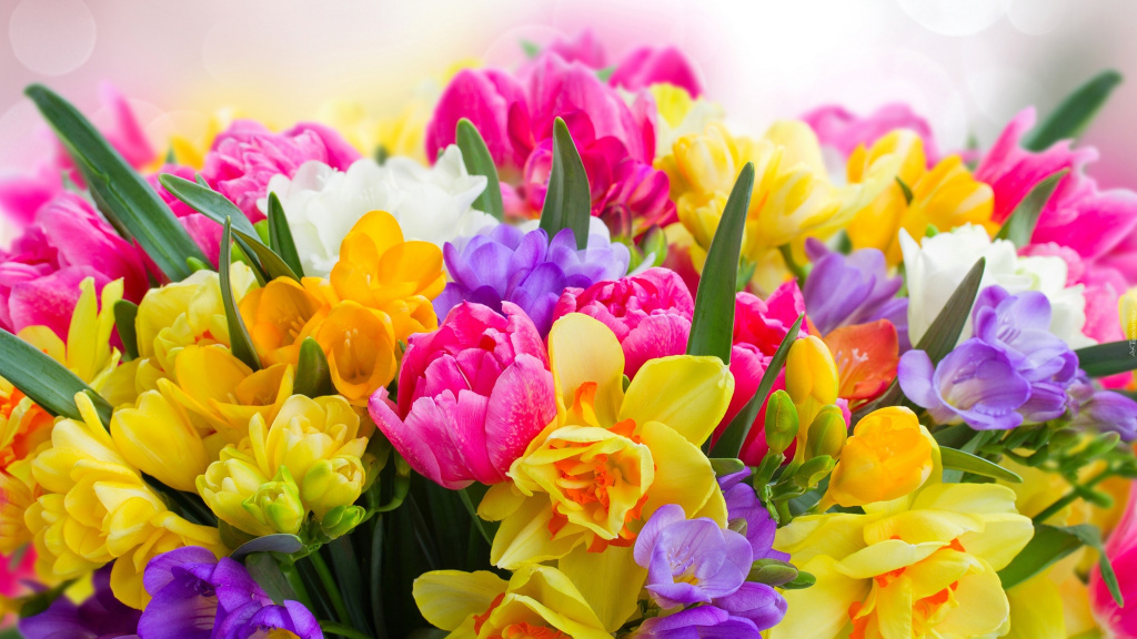 Daffodils_Tulips_Bouquets_544587_3840x2160.jpg