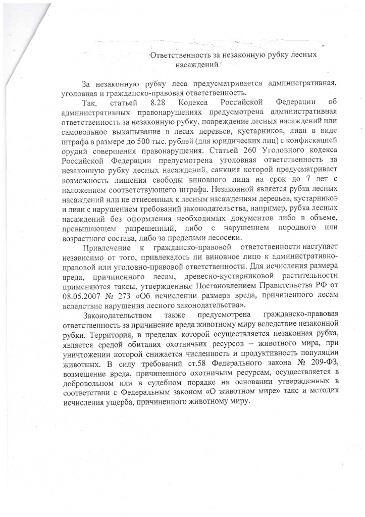 прокур.jpg