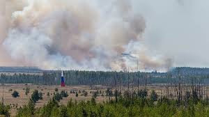 задымленность-2.jpg