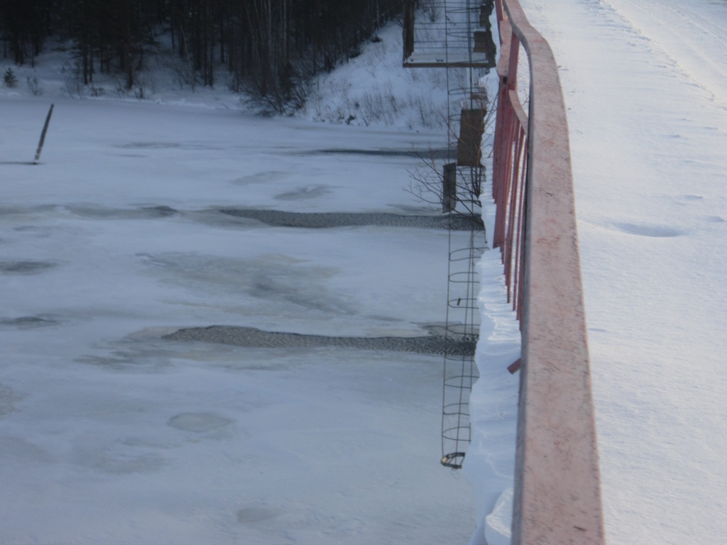 IMG_3335.JPG IMG_3335.JPG