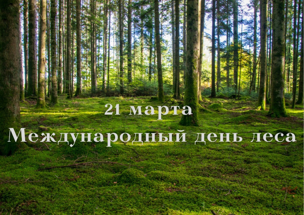 21 марта Международный день леса.jpg