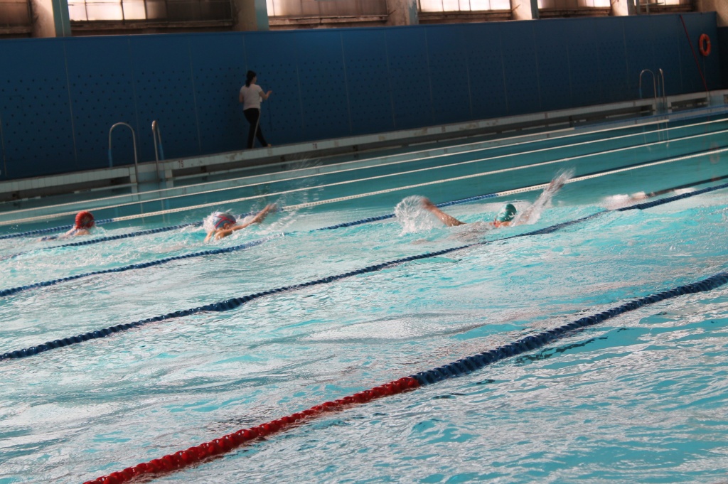 IMG_5428.JPG IMG_5428.JPG