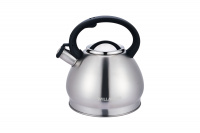 Чайник Willmark WTK-4221SS Матовый