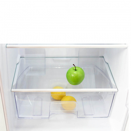 Холодильник Бирюса 109