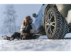Шина Nokian Hakkapeliitta-10p SUV 225/60R17 103T TS32684 XL шип