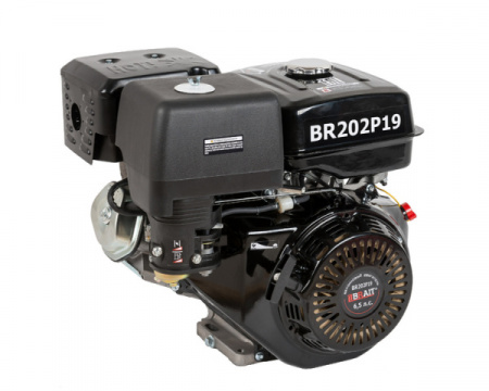 Двигатель Brait 202P(19)