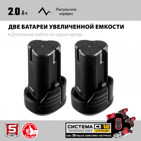 Пила сабельная Зубр СПЛ-125-22 12В, 2 АКБ (2Ач), в коробке