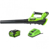 Воздуходув аккумуляторный Greenworks G40AB2K, с АКБ и ЗУ