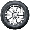 Шина Bridgestone DM-V3 265/50R19 110T 18925 XL