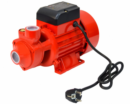 Насос садовый Brait PN-550N (550Вт,45л/мин,всас.8м,напор 40м)