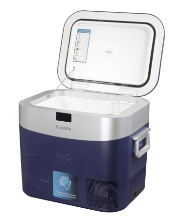 Холодильник Бирюса НС-22P5