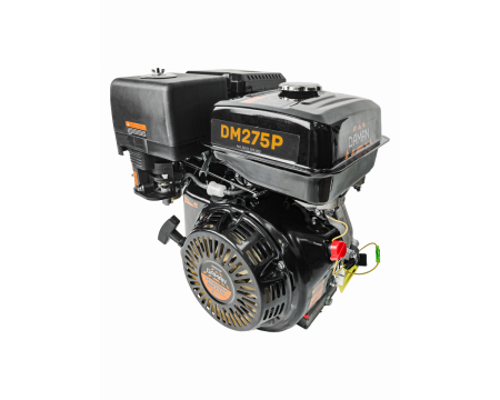 Двигатель Daman 9,0л.с. DM275PE