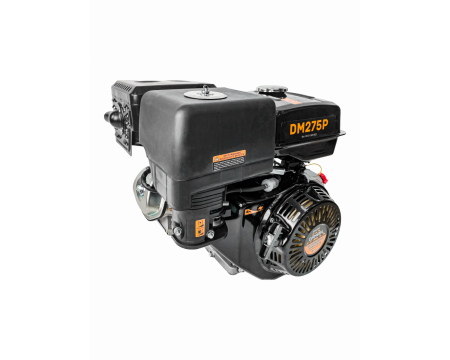 Двигатель Daman 9,0л.с. DM275PE