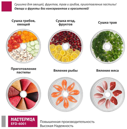 Сушилка для овощей и фруктов Мастерица EFD-6001 белая, 5 белых поддонов + 2 поддона д/пастилы