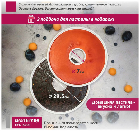Сушилка для овощей и фруктов Мастерица EFD-6001 белая, 5 белых поддонов + 2 поддона д/пастилы