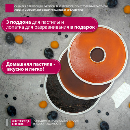 Сушилка для овощей и фруктов Мастерица EFD-5000 белая, 6 белых поддонов + 3 поддона д/пастилы