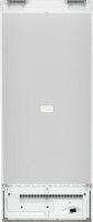 Морозильник Liebherr FNe 4605-22 001 Pure NoFrost