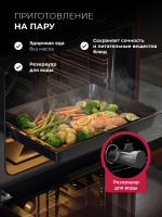 Духовой шкаф Lex EDP 080  BBL STEAM