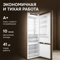 Холодильник встраиваемый Zigmund & Shtain BR 25 X