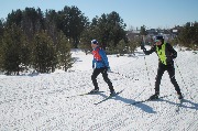 Постоянные участники