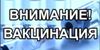 ‼ВНИМАНИЮ ВЛАДЕЛЬЦЕВ КРУПНОГО И МЕЛКОГО РОГАТОГО СКОТА!