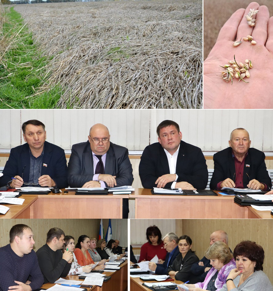 Потерявших урожай фермеров на год освободят от платы за аренду земли