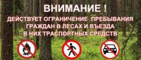 О введении ограничения пребывания граждан в лесах и въезда в них транспортных средств, проведения в лесах определенных видов работ в целях обеспечения пожарной безопасности в лесах на территории Иркутской области
