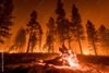 Выявлено еще два лесных пожара