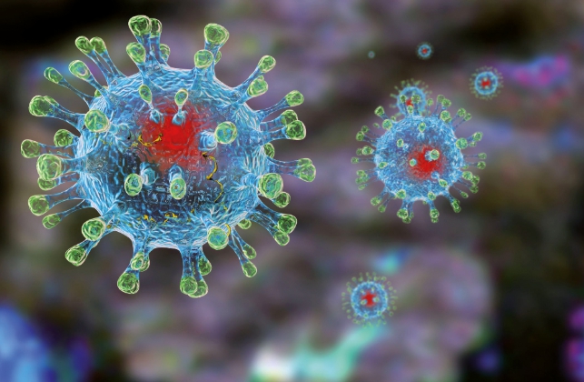 Что такое коронавирусы и как от них защититься 