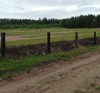В  рп. Чунский видели медведя