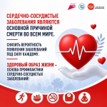 Профилактика сердечно-сосудистых заболеваний