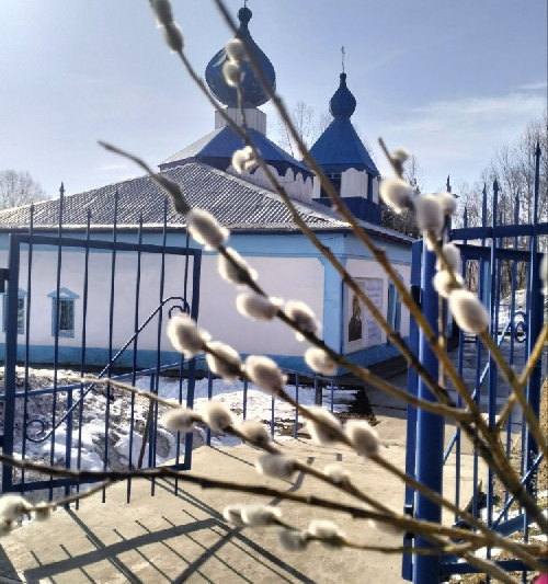 С вербным воскресеньем!