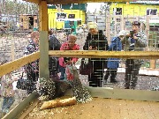 IMG_3812.JPG