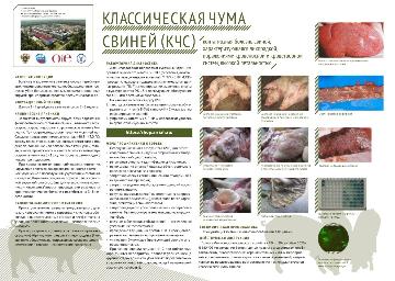 Управление Россельхознадзора по Иркутской области и Республике Бурятия (далее – Управление)