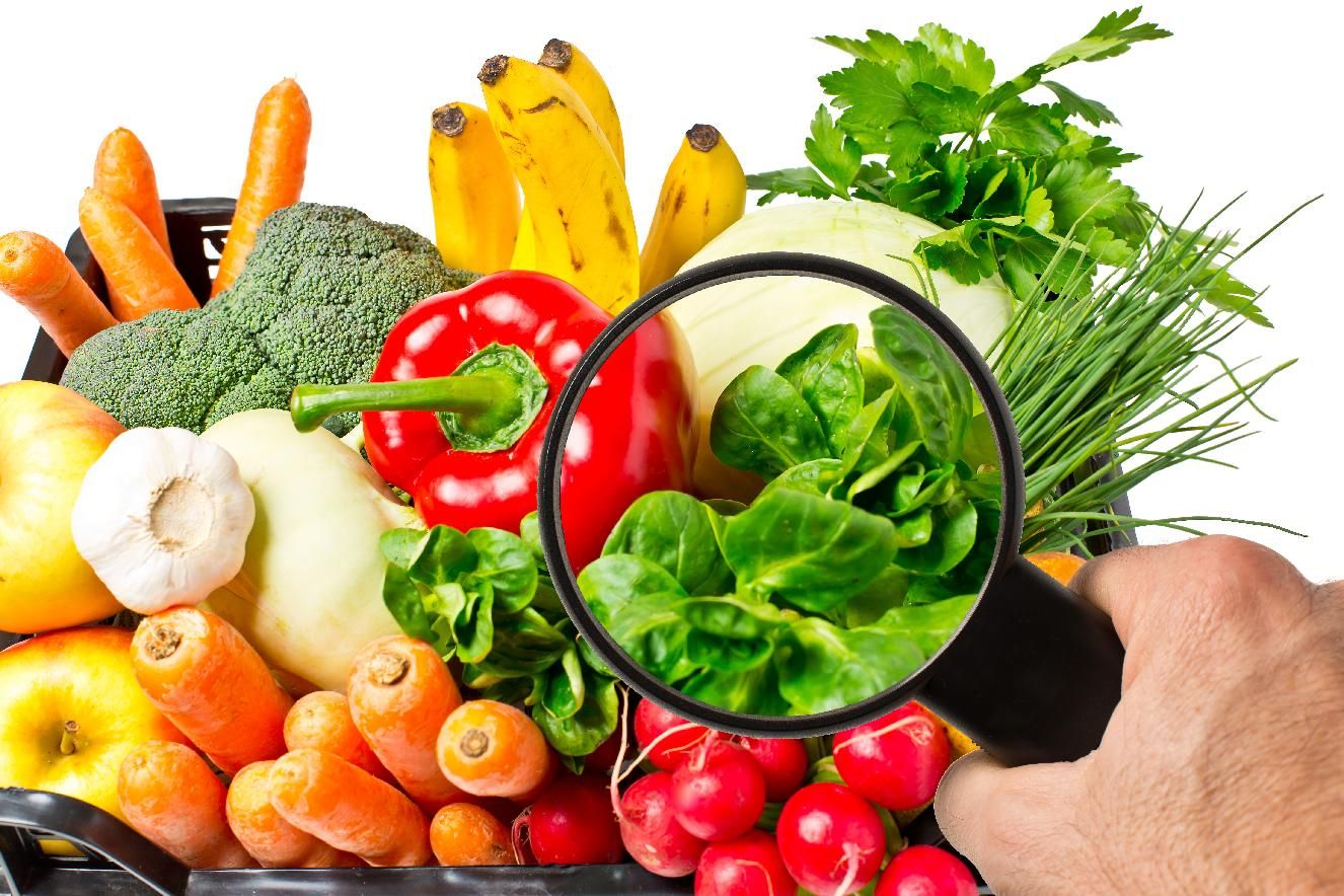О проведении месячника качества и безопасности овощей и фруктов и работе «горячей линии»