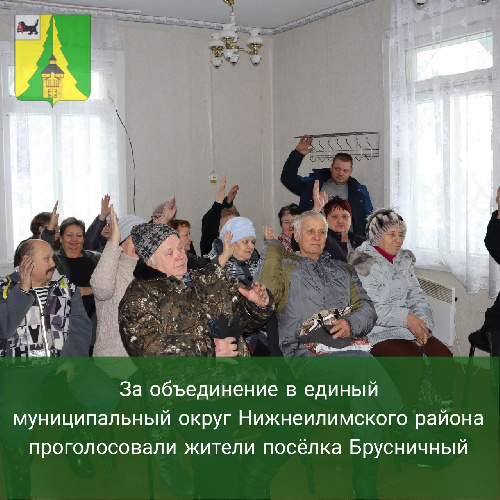 За объединение в единый муниципальный округ Нижнеилимского района проголосовали жители посёлка Брусничный