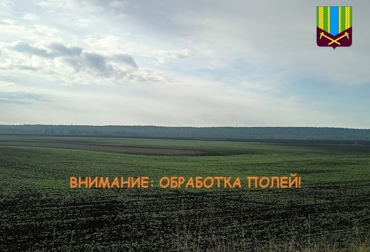 Внимание: обработка полей!