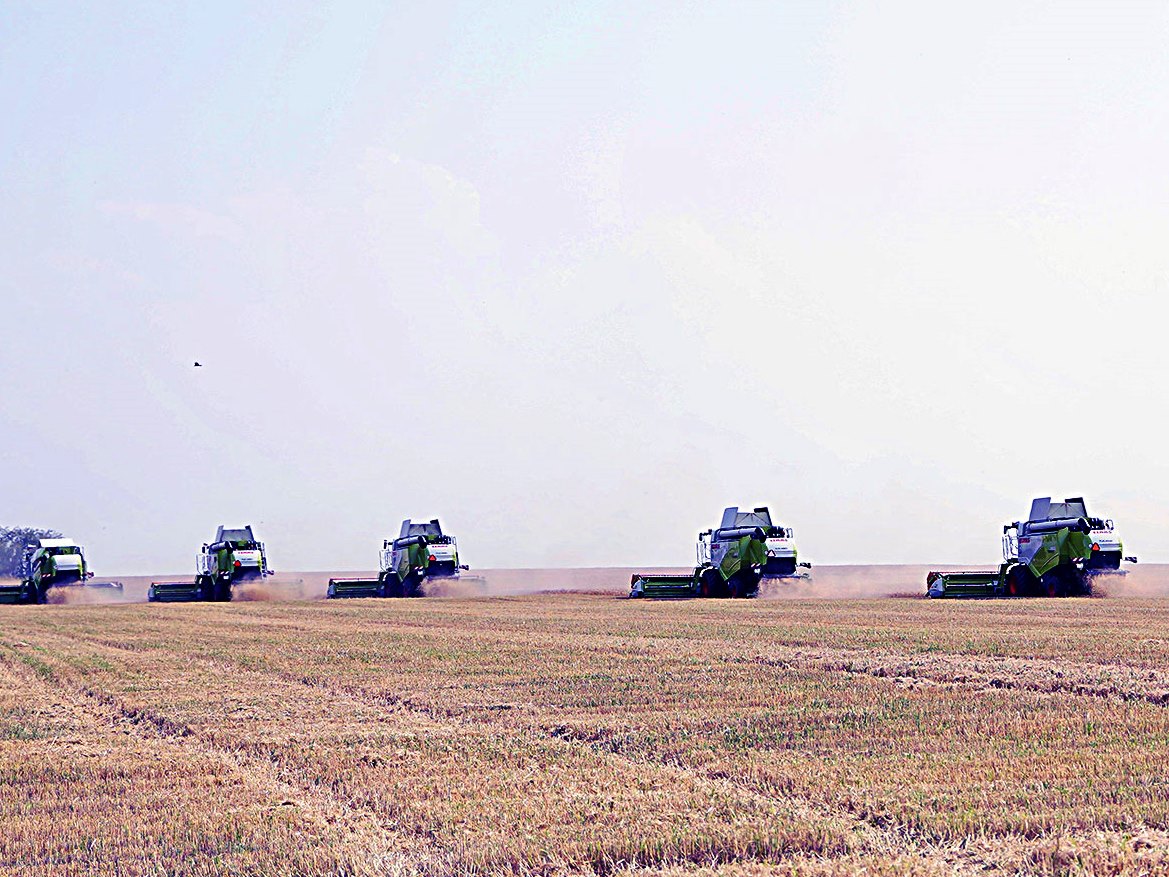О ходе заготовки кормов и уборки урожая  сельхозтоваропроизводителей Черемховского района на 26.10.2021 года