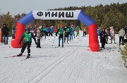 лыжные гонки