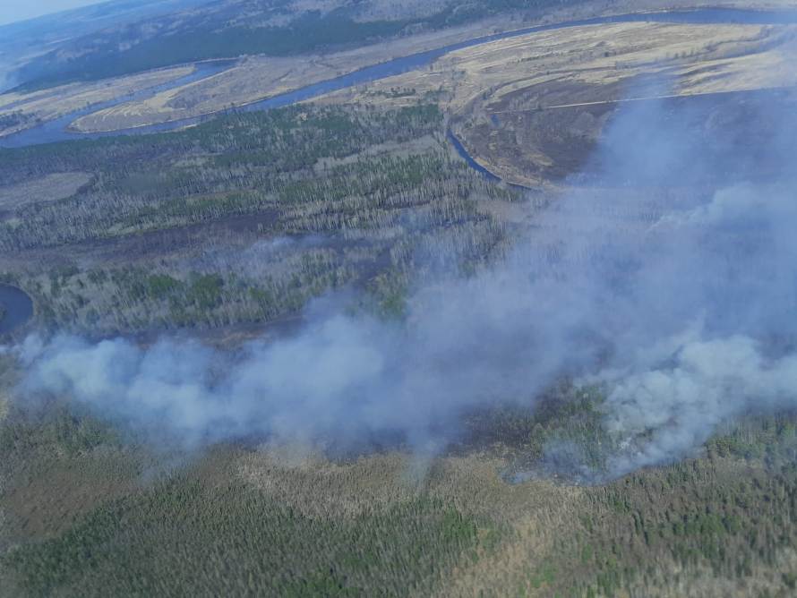 За минувшие сутки в районе потушено два лесных пожара