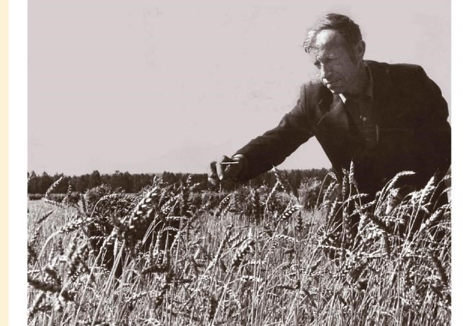 Аграрная история Тулунского района: к 100-летию муниципалитета