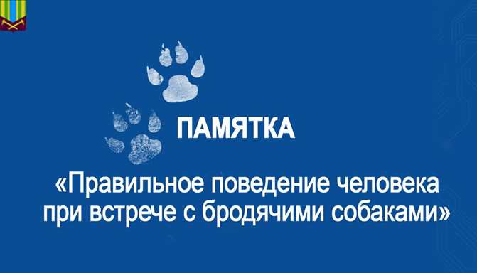 «Как вести себя при встрече с бродячими собаками»  