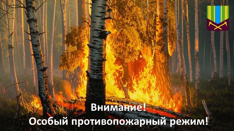 Внимание! Особый противопожарный режим