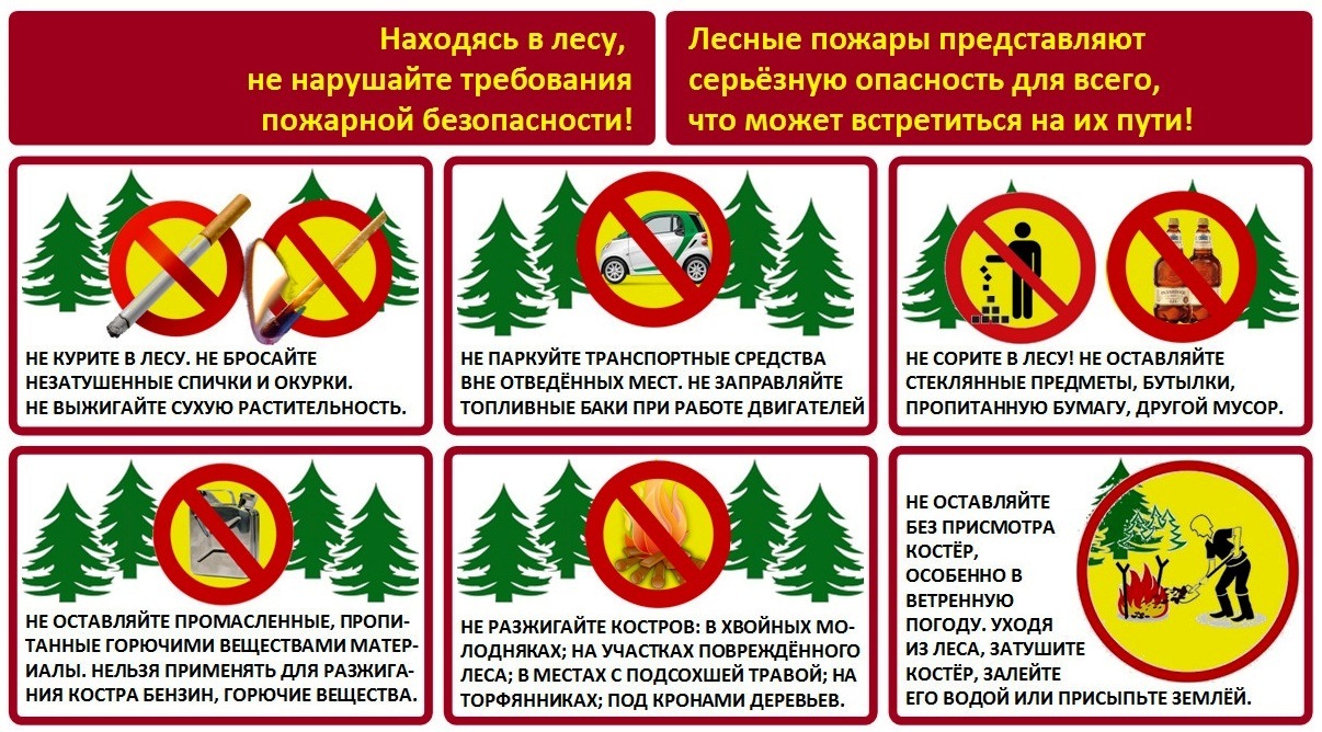 При сборе ягод и грибов,  не забывайте о правилах пожарной безопасности!