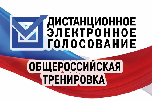 С 15 по 17 ноября на госуслугах пройдет общероссийская тренировка системы дистанционного электронного голосования