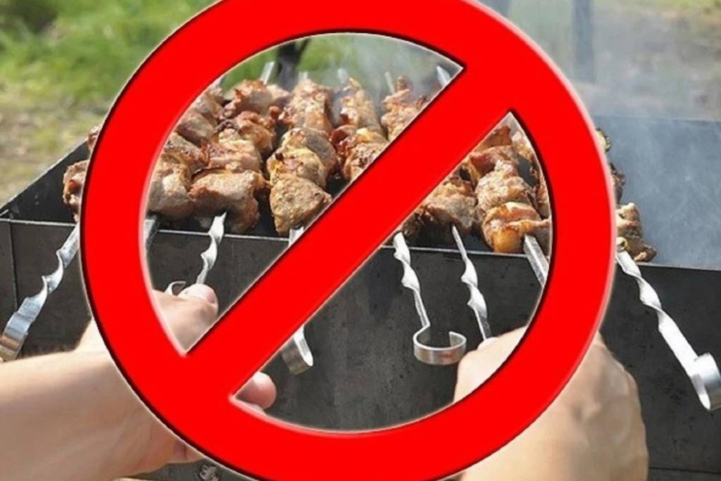 Приготовление шашлыка:можно ли использовать закрытый мангал при противопожарном режиме?