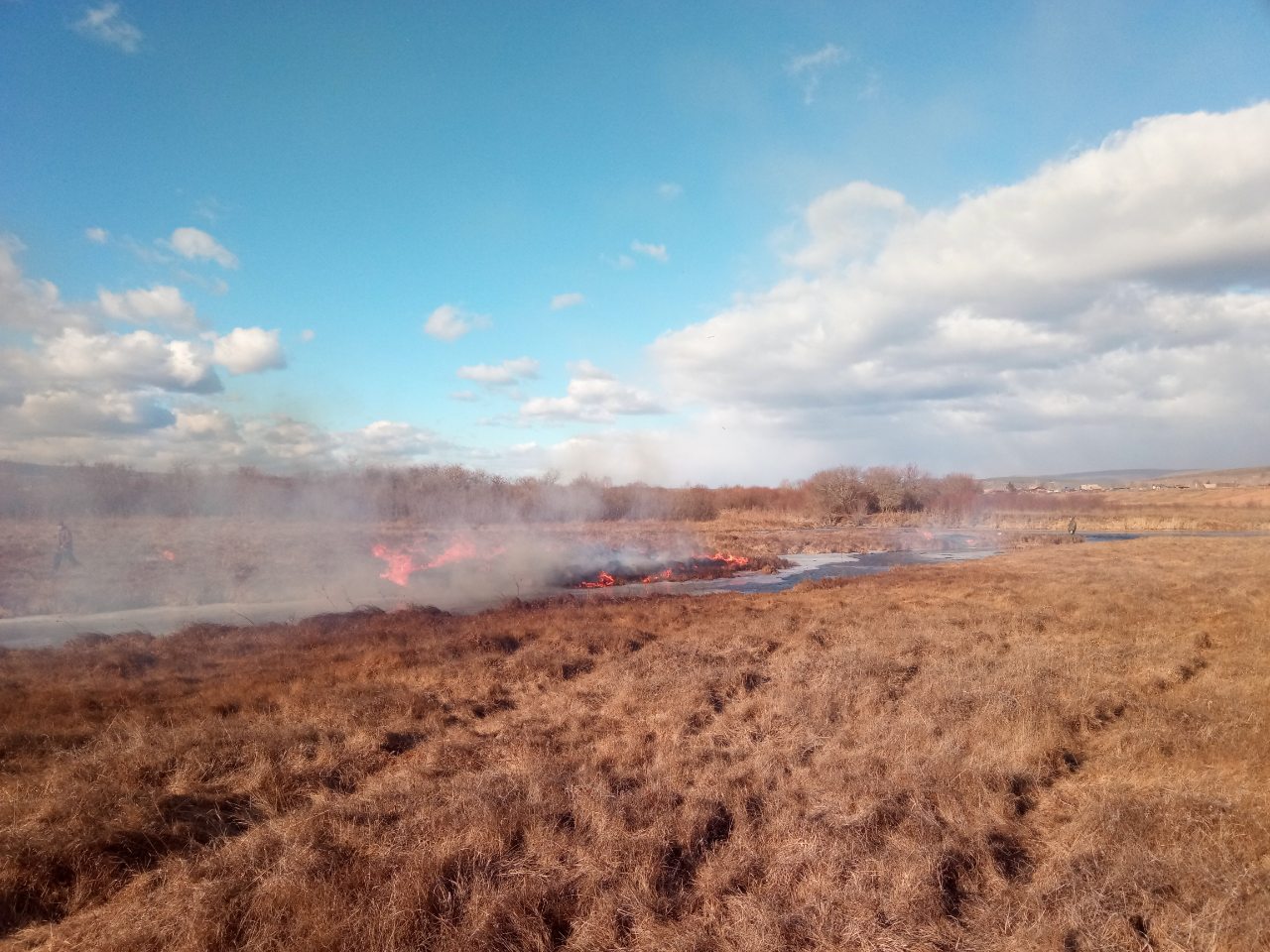 На территории Качугского района по состоянию на 08.00 26.04.2020 г. действует 4 лесных пожара