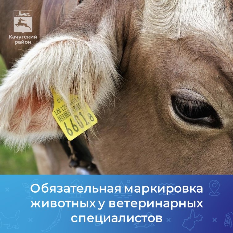 Информирует Качугская станция по борьбе с болезнями животных
