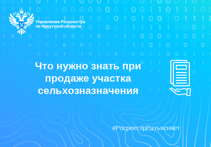 Что нужно знать при продаже участка сельхозназначения